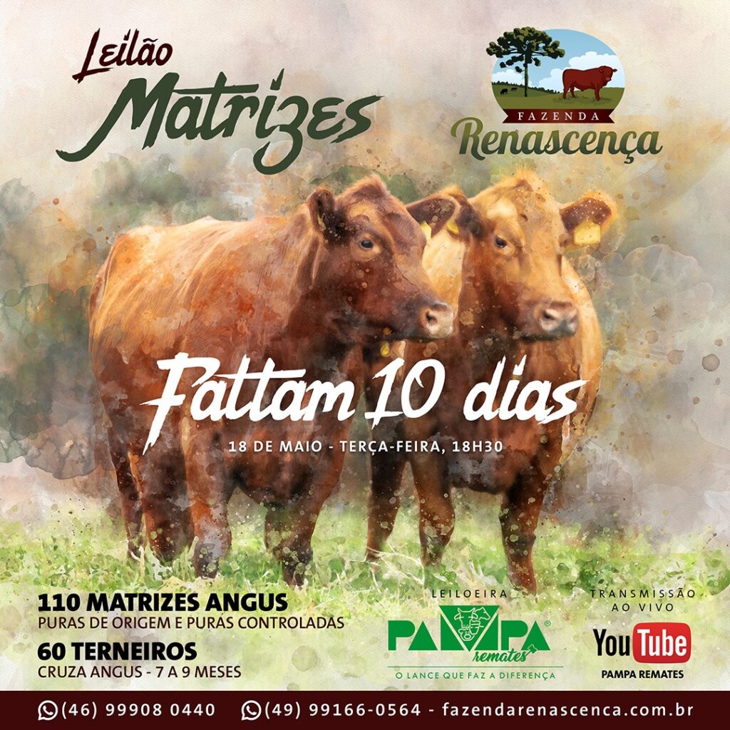 10 dias
